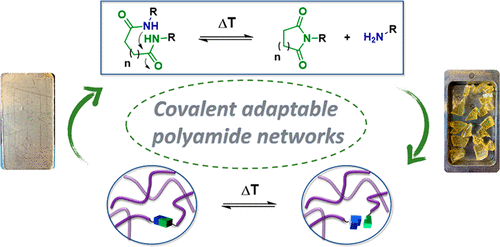 Reprocessing of Covalent Adaptable Polyamide Networks through Internal Catalysis and Ring-Size Effects